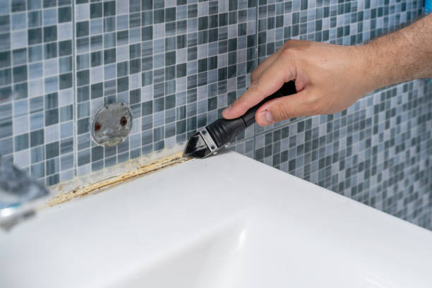 Best Certified Mold Removal  in Stevenson Ranch, CA